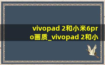 vivopad 2和小米6pro画质_vivopad 2和小米6pro哪个好